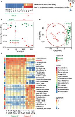 Changes in the Species and Functional Composition of Activated Sludge Communities Revealed Mechanisms of Partial Nitrification Established by Ultrasonication